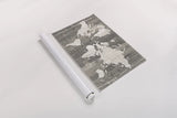Old World Map Neutral by Wild Apple Portfolio. shown as a rolled paper print. Available as archival giclee rolled canvas, fine art paper, or poster print. SKU 41811i.