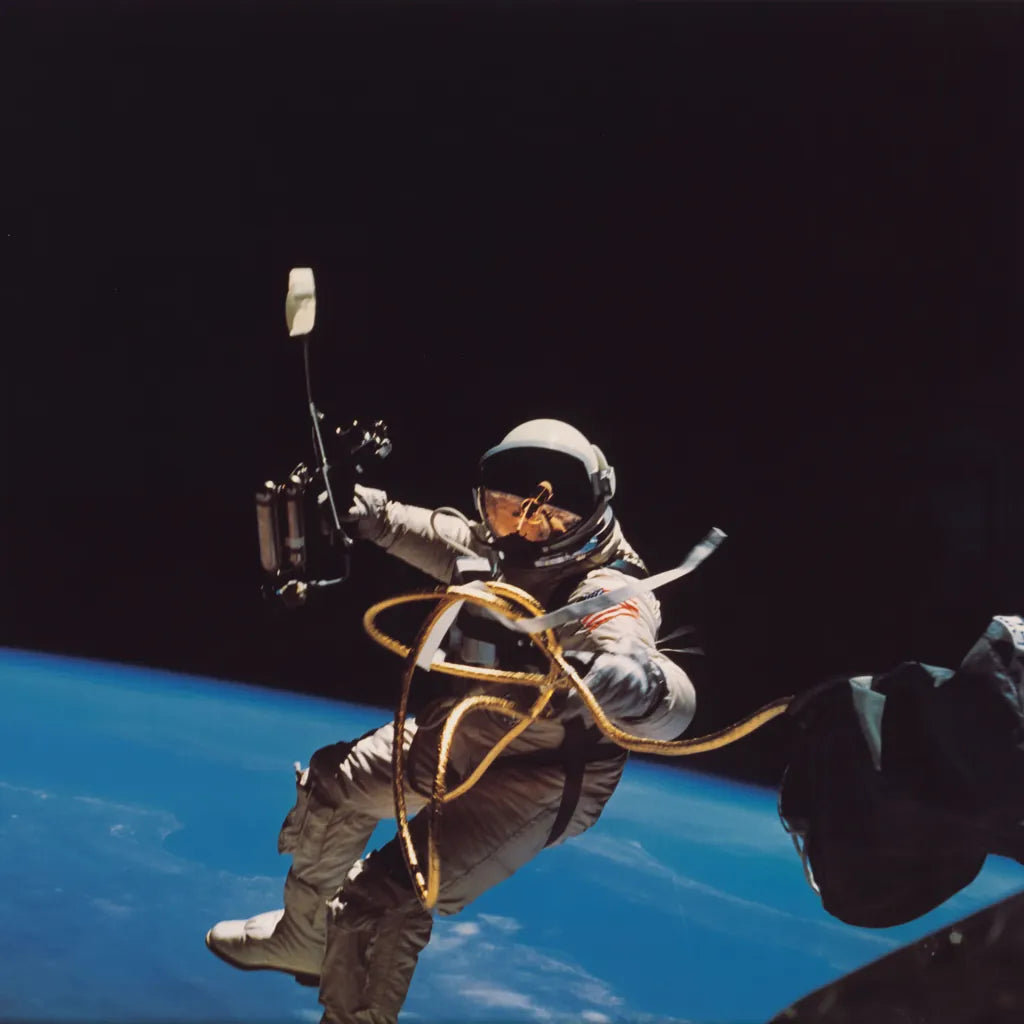 Orbit by Wild Apple Portfolio. SKU 84534a. Archival Giclee Fine art print for wall decor.