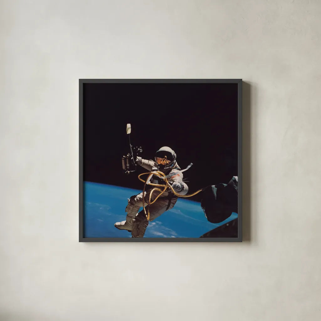 Orbit by Wild Apple Portfolio. Shown in a sleek black glass frame for a contemporary gallery look. Available as an archival giclee rolled canvas, fine art paper, or poster print. SKU 84534a.