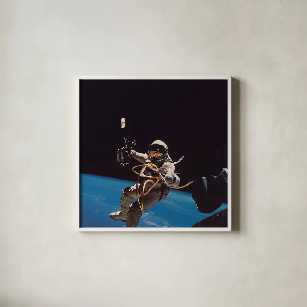 Orbit by Wild Apple Portfolio. Shown in a crisp white glass frame for a clean and minimalist style. Available as an archival giclee rolled canvas, fine art paper, or poster print. SKU 84534a.