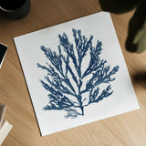Pacific Sea Mosses Blue on White I by Wild Apple Portfolio. Shown as a detailed flat fine art print, highlighting archival giclee quality. Available as an archival giclee rolled canvas, fine art paper, or poster print. SKU 53891a.