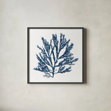 Pacific Sea Mosses Blue on White I by Wild Apple Portfolio. Shown in a sleek black glass frame for a contemporary gallery look. Available as an archival giclee rolled canvas, fine art paper, or poster print. SKU 53891a.