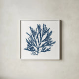 Pacific Sea Mosses Blue on White I by Wild Apple Portfolio. Shown in a crisp white glass frame for a clean and minimalist style. Available as an archival giclee rolled canvas, fine art paper, or poster print. SKU 53891a.