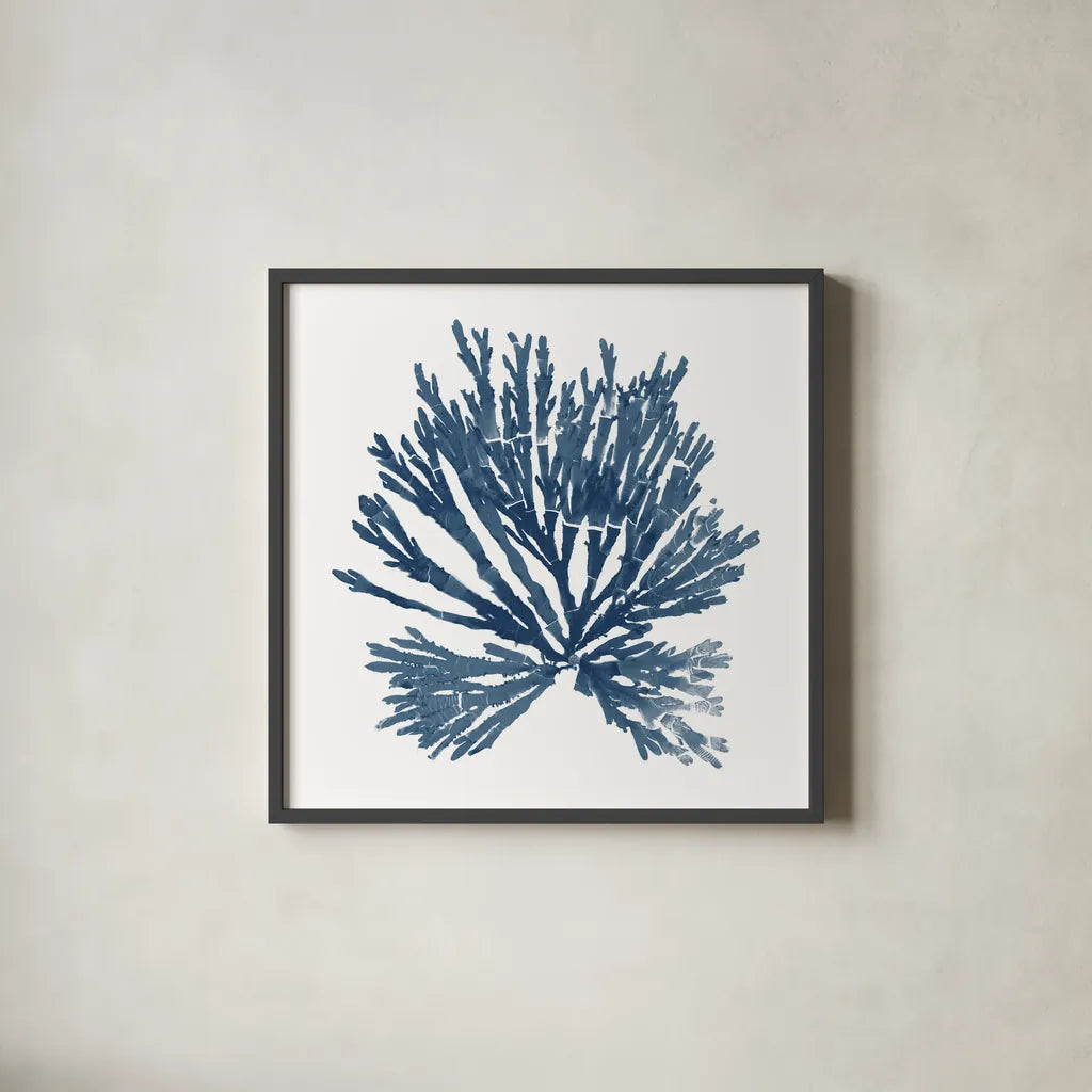 Pacific Sea Mosses Blue on White II by Wild Apple Portfolio. Shown in a sleek black glass frame for a contemporary gallery look. Available as an archival giclee rolled canvas, fine art paper, or poster print. SKU 53892a.