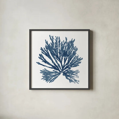 Pacific Sea Mosses Blue on White II by Wild Apple Portfolio. Shown in a sleek black glass frame for a contemporary gallery look. Available as an archival giclee rolled canvas, fine art paper, or poster print. SKU 53892a.