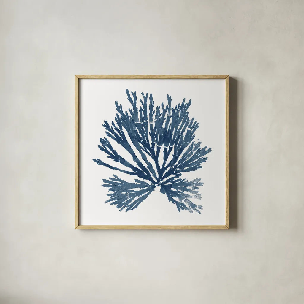 Pacific Sea Mosses Blue on White II by Wild Apple Portfolio. Shown in a natural wood glass frame for a timeless modern aesthetic. Available as an archival giclee rolled canvas, fine art paper, or poster print. SKU 53892a.