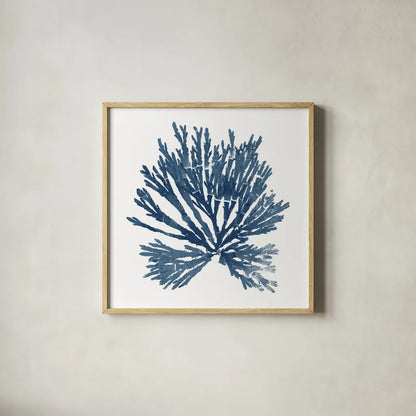 Pacific Sea Mosses Blue on White II by Wild Apple Portfolio. Shown in a natural wood glass frame for a timeless modern aesthetic. Available as an archival giclee rolled canvas, fine art paper, or poster print. SKU 53892a.