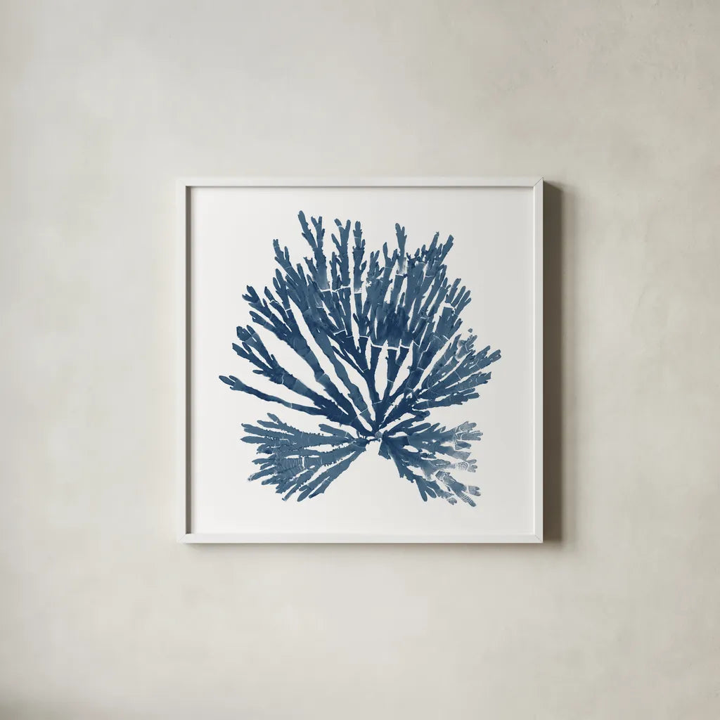 Pacific Sea Mosses Blue on White II by Wild Apple Portfolio. Shown in a crisp white glass frame for a clean and minimalist style. Available as an archival giclee rolled canvas, fine art paper, or poster print. SKU 53892a.