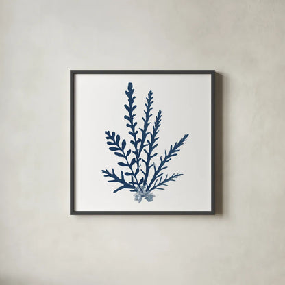 Pacific Sea Mosses Blue on White III by Wild Apple Portfolio. Shown in a sleek black glass frame for a contemporary gallery look. Available as an archival giclee rolled canvas, fine art paper, or poster print. SKU 53893a.