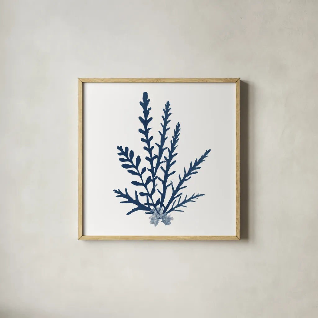 Pacific Sea Mosses Blue on White III by Wild Apple Portfolio. Shown in a natural wood glass frame for a timeless modern aesthetic. Available as an archival giclee rolled canvas, fine art paper, or poster print. SKU 53893a.