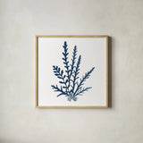 Pacific Sea Mosses Blue on White III by Wild Apple Portfolio. Shown in a natural wood glass frame for a timeless modern aesthetic. Available as an archival giclee rolled canvas, fine art paper, or poster print. SKU 53893a.