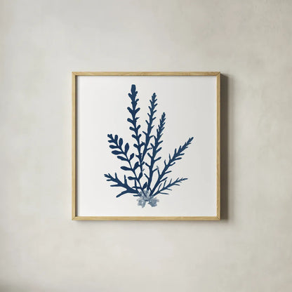 Pacific Sea Mosses Blue on White III by Wild Apple Portfolio. Shown in a natural wood glass frame for a timeless modern aesthetic. Available as an archival giclee rolled canvas, fine art paper, or poster print. SKU 53893a.