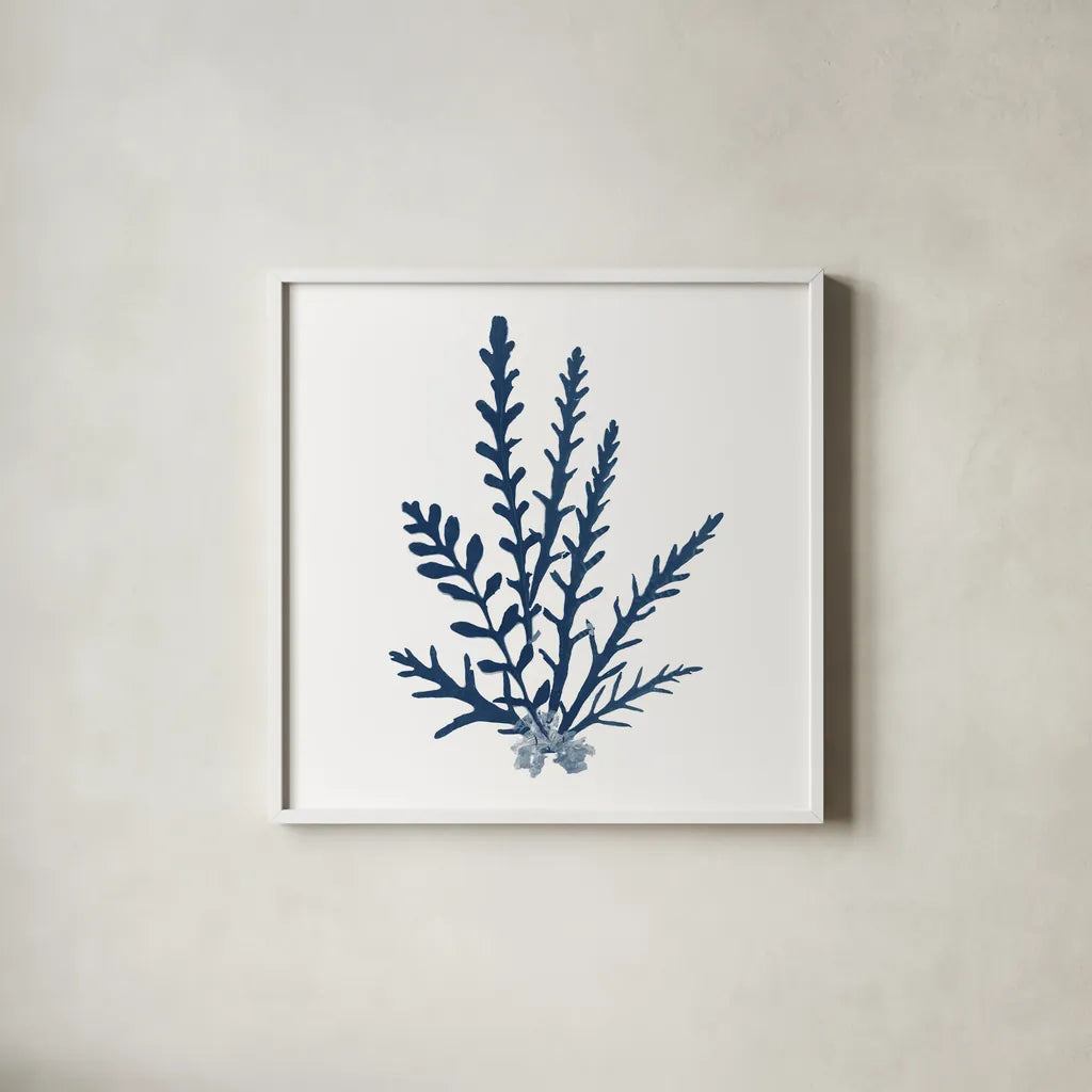 Pacific Sea Mosses Blue on White III by Wild Apple Portfolio. Shown in a crisp white glass frame for a clean and minimalist style. Available as an archival giclee rolled canvas, fine art paper, or poster print. SKU 53893a.