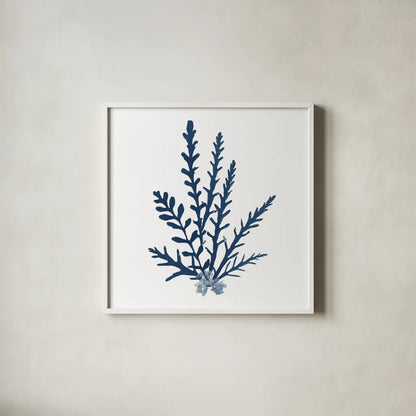 Pacific Sea Mosses Blue on White III by Wild Apple Portfolio. Shown in a crisp white glass frame for a clean and minimalist style. Available as an archival giclee rolled canvas, fine art paper, or poster print. SKU 53893a.