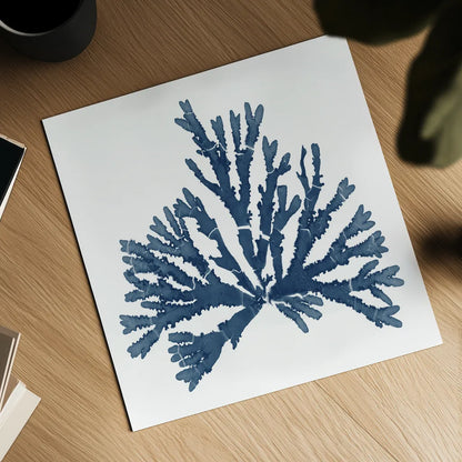 Pacific Sea Mosses Blue on White IV by Wild Apple Portfolio. Shown as a detailed flat fine art print, highlighting archival giclee quality. Available as an archival giclee rolled canvas, fine art paper, or poster print. SKU 53894a.