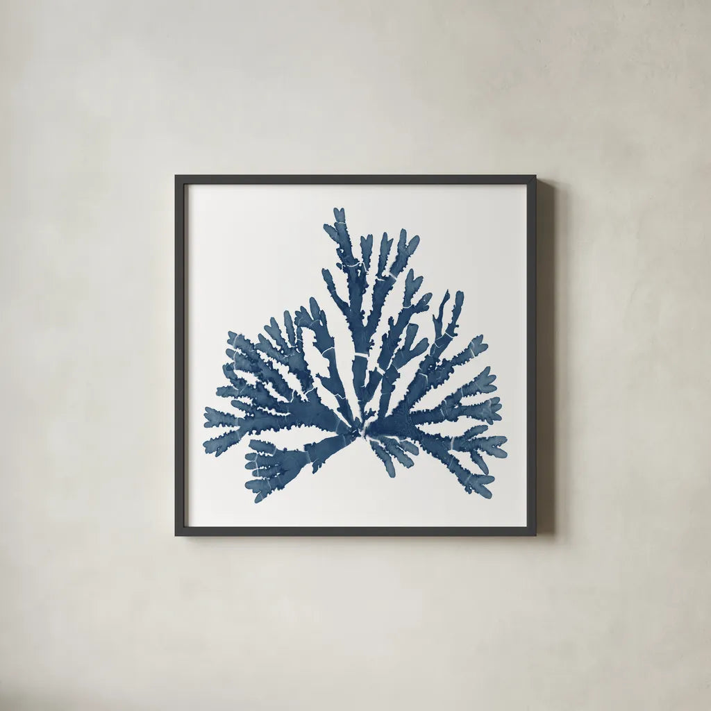 Pacific Sea Mosses Blue on White IV by Wild Apple Portfolio. Shown in a sleek black glass frame for a contemporary gallery look. Available as an archival giclee rolled canvas, fine art paper, or poster print. SKU 53894a.