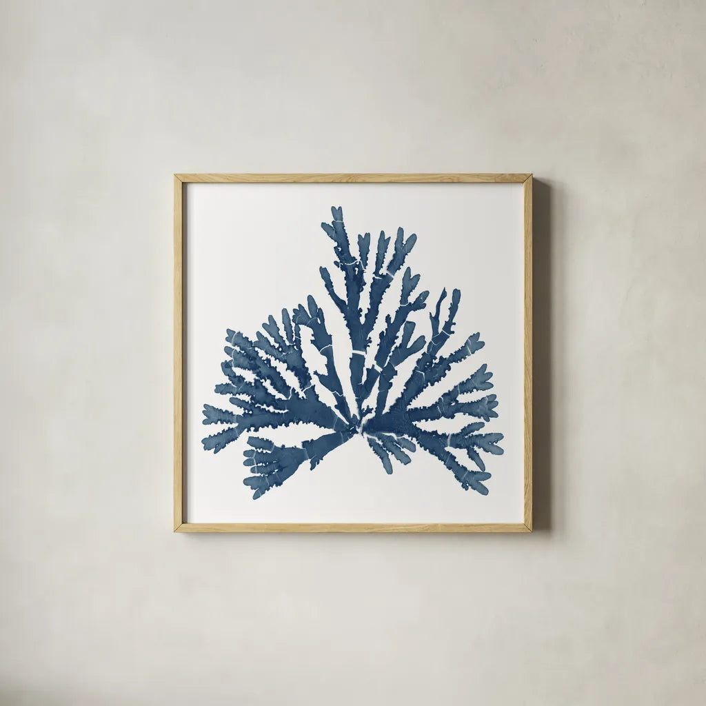 Pacific Sea Mosses Blue on White IV by Wild Apple Portfolio. Shown in a natural wood glass frame for a timeless modern aesthetic. Available as an archival giclee rolled canvas, fine art paper, or poster print. SKU 53894a.