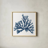 Pacific Sea Mosses Blue on White IV by Wild Apple Portfolio. Shown in a natural wood glass frame for a timeless modern aesthetic. Available as an archival giclee rolled canvas, fine art paper, or poster print. SKU 53894a.