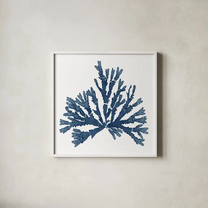 Pacific Sea Mosses Blue on White IV by Wild Apple Portfolio. Shown in a crisp white glass frame for a clean and minimalist style. Available as an archival giclee rolled canvas, fine art paper, or poster print. SKU 53894a.