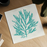 Pacific Sea Mosses I Aqua by Wild Apple Portfolio. Shown as a detailed flat fine art print, highlighting archival giclee quality. Available as an archival giclee rolled canvas, fine art paper, or poster print. SKU 55908a.