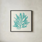 Pacific Sea Mosses I Aqua by Wild Apple Portfolio. Shown in a sleek black glass frame for a contemporary gallery look. Available as an archival giclee rolled canvas, fine art paper, or poster print. SKU 55908a.