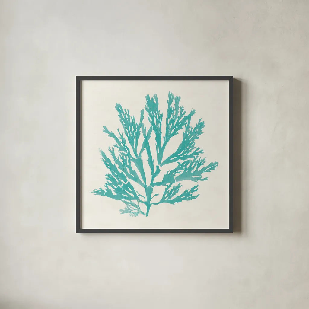 Pacific Sea Mosses I Aqua by Wild Apple Portfolio. Shown in a sleek black glass frame for a contemporary gallery look. Available as an archival giclee rolled canvas, fine art paper, or poster print. SKU 55908a.