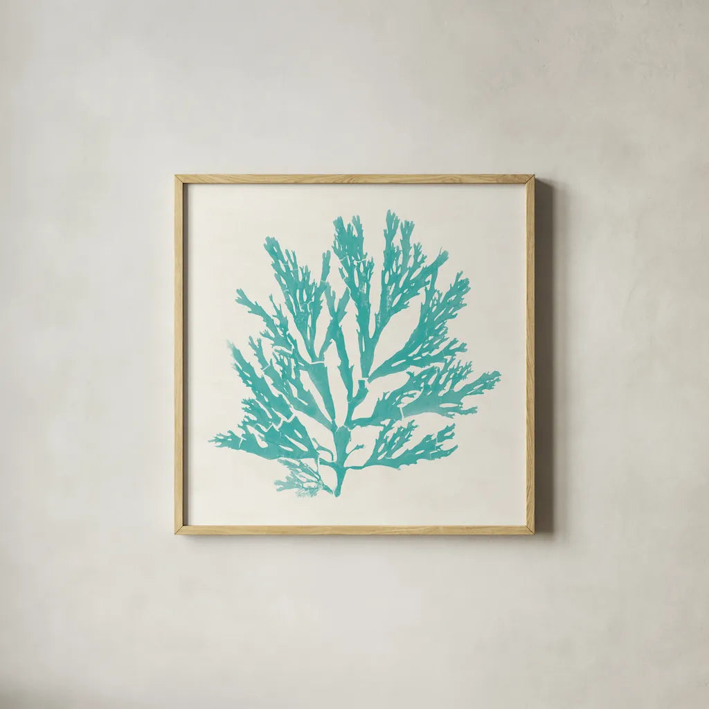 Pacific Sea Mosses I Aqua by Wild Apple Portfolio. Shown in a natural wood glass frame for a timeless modern aesthetic. Available as an archival giclee rolled canvas, fine art paper, or poster print. SKU 55908a.