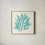 Pacific Sea Mosses I Aqua by Wild Apple Portfolio. Shown in a natural wood glass frame for a timeless modern aesthetic. Available as an archival giclee rolled canvas, fine art paper, or poster print. SKU 55908a.