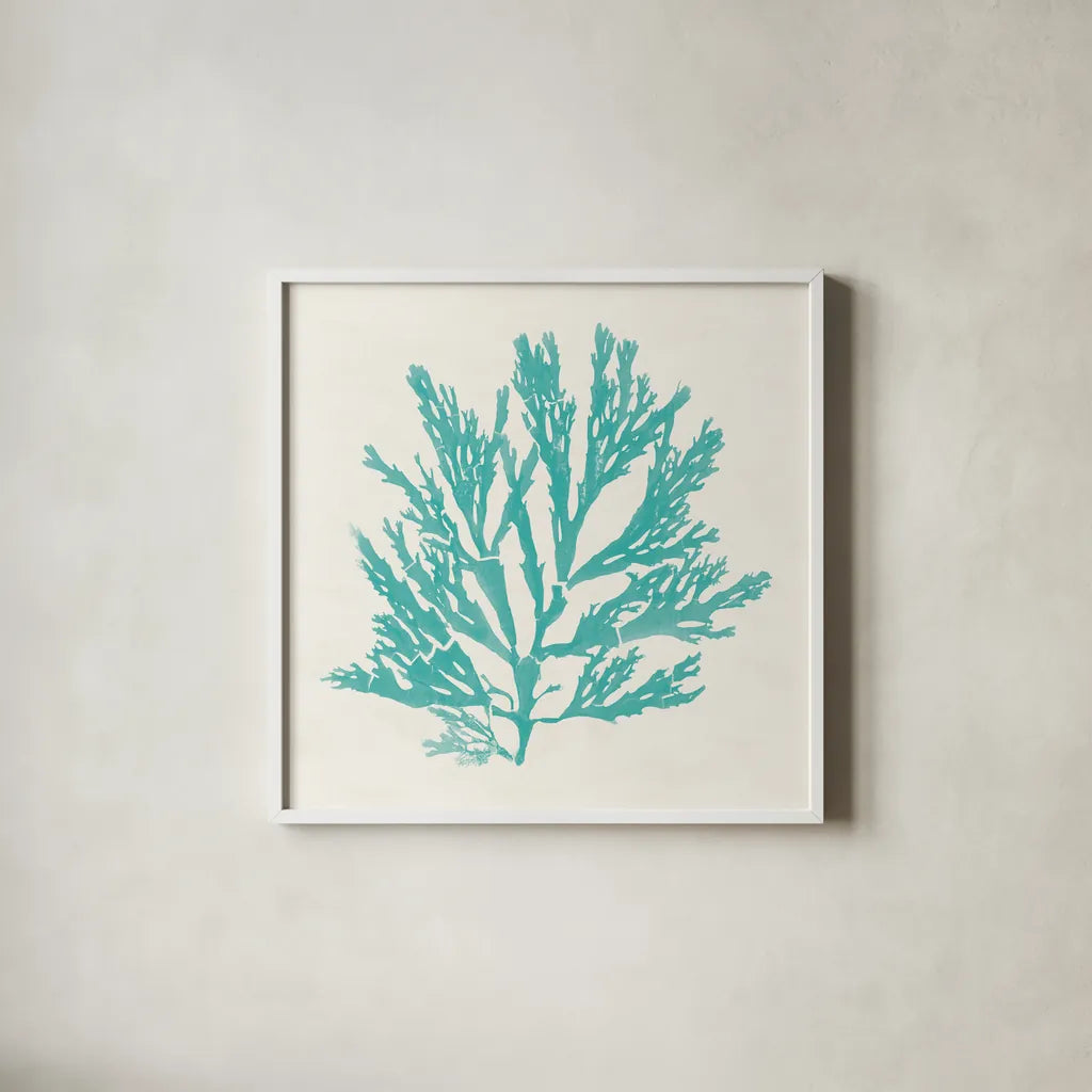 Pacific Sea Mosses I Aqua by Wild Apple Portfolio. Shown in a crisp white glass frame for a clean and minimalist style. Available as an archival giclee rolled canvas, fine art paper, or poster print. SKU 55908a.