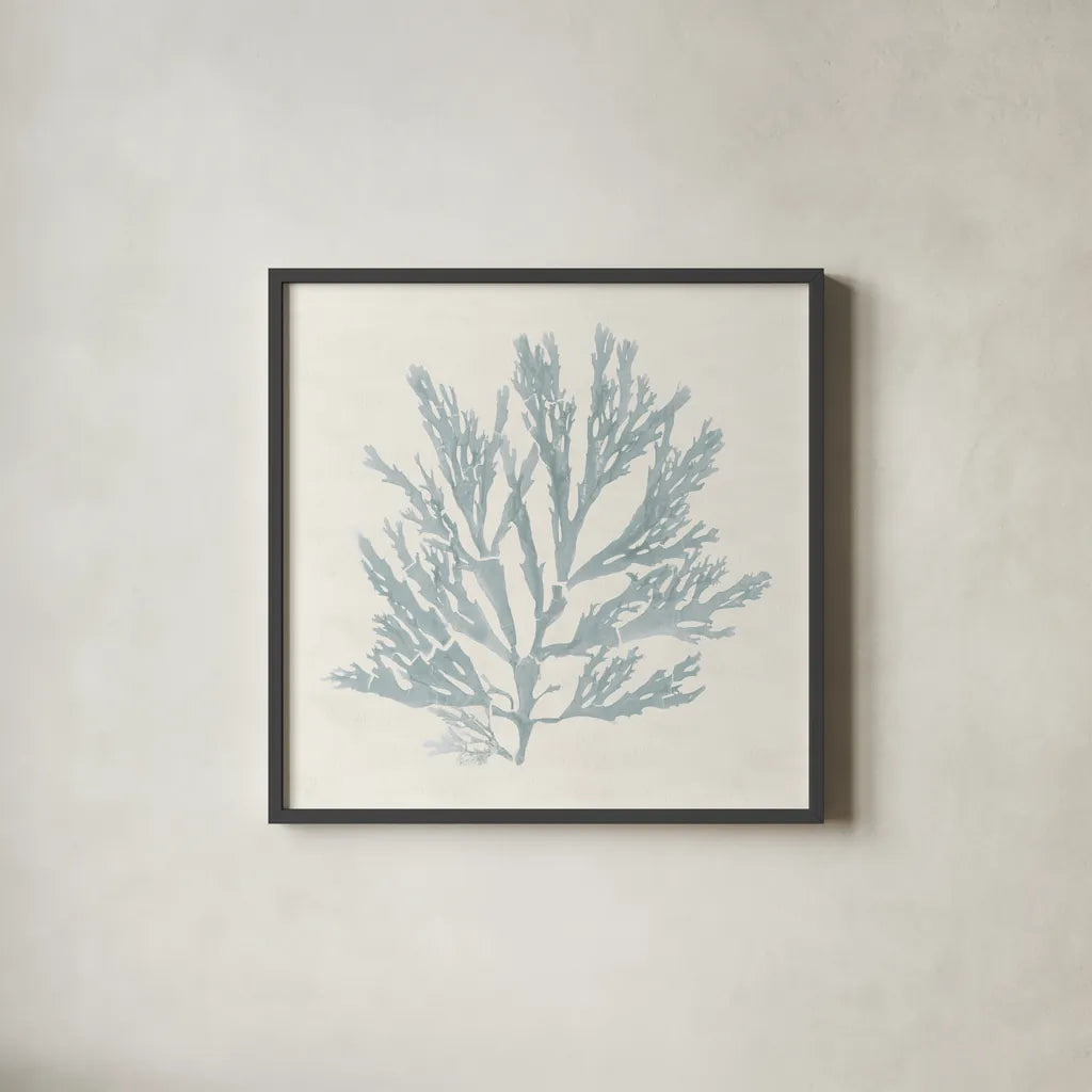 Pacific Sea Mosses I Blue by Wild Apple Portfolio. Shown in a sleek black glass frame for a contemporary gallery look. Available as an archival giclee rolled canvas, fine art paper, or poster print. SKU 87173a.