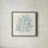 Pacific Sea Mosses I Blue by Wild Apple Portfolio. Shown in a sleek black glass frame for a contemporary gallery look. Available as an archival giclee rolled canvas, fine art paper, or poster print. SKU 87173a.