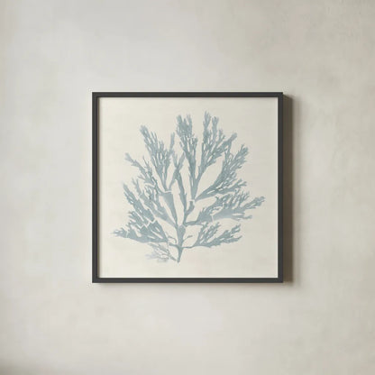 Pacific Sea Mosses I Blue by Wild Apple Portfolio. Shown in a sleek black glass frame for a contemporary gallery look. Available as an archival giclee rolled canvas, fine art paper, or poster print. SKU 87173a.