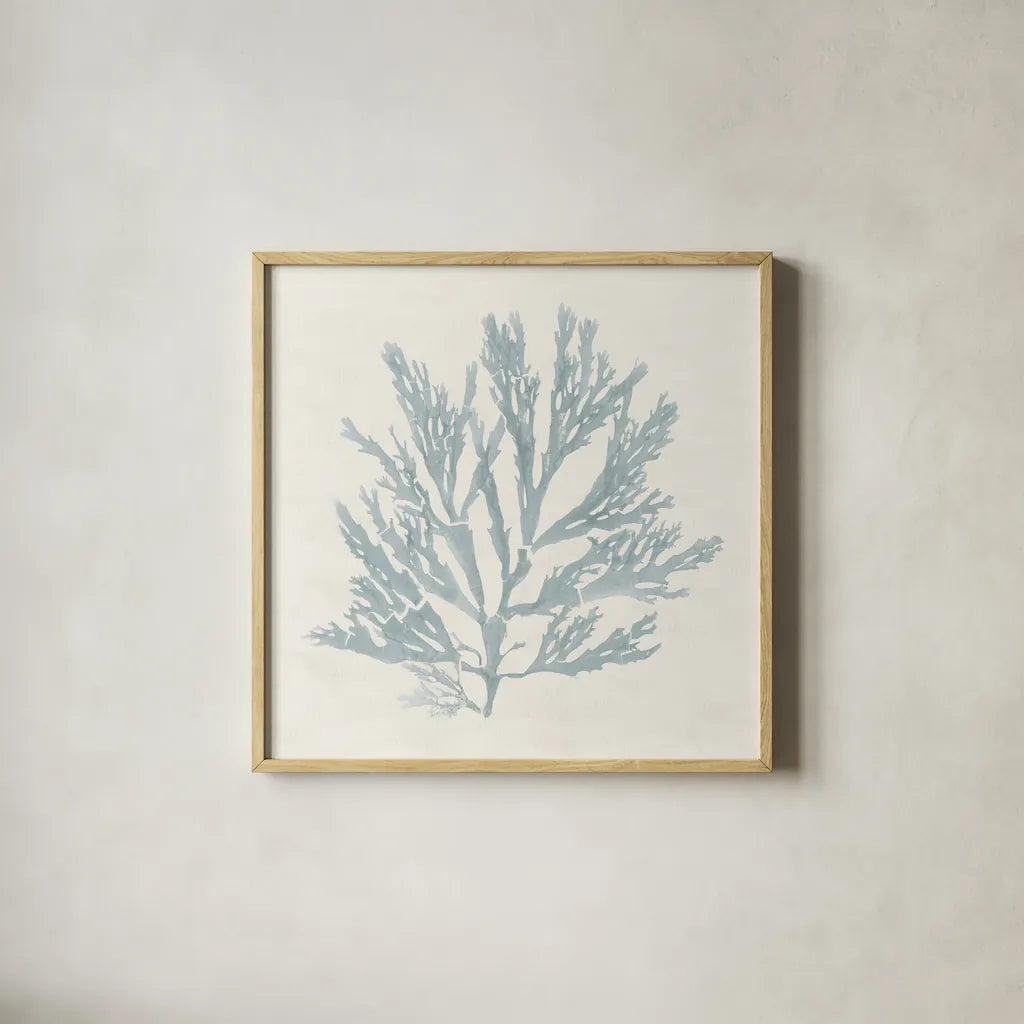 Pacific Sea Mosses I Blue by Wild Apple Portfolio. Shown in a natural wood glass frame for a timeless modern aesthetic. Available as an archival giclee rolled canvas, fine art paper, or poster print. SKU 87173a.