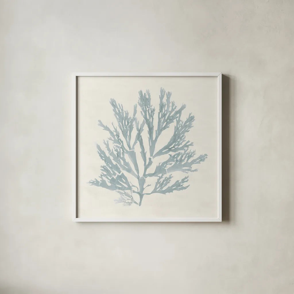 Pacific Sea Mosses I Blue by Wild Apple Portfolio. Shown in a crisp white glass frame for a clean and minimalist style. Available as an archival giclee rolled canvas, fine art paper, or poster print. SKU 87173a.