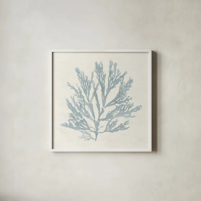 Pacific Sea Mosses I Blue by Wild Apple Portfolio. Shown in a crisp white glass frame for a clean and minimalist style. Available as an archival giclee rolled canvas, fine art paper, or poster print. SKU 87173a.