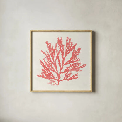 Pacific Sea Mosses I Coral by Wild Apple Portfolio. Shown in a natural wood glass frame for a timeless modern aesthetic. Available as an archival giclee rolled canvas, fine art paper, or poster print. SKU 55904a.