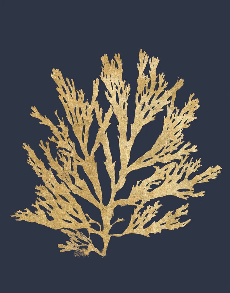 Pacific Sea Mosses I Indigo by Wild Apple Portfolio