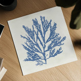 Pacific Sea Mosses I Light Blue by Wild Apple Portfolio. Shown as a detailed flat fine art print, highlighting archival giclee quality. Available as an archival giclee rolled canvas, fine art paper, or poster print. SKU 55912a.