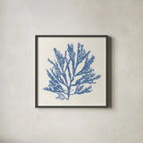 Pacific Sea Mosses I Light Blue by Wild Apple Portfolio. Shown in a sleek black glass frame for a contemporary gallery look. Available as an archival giclee rolled canvas, fine art paper, or poster print. SKU 55912a.