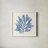 Pacific Sea Mosses I Light Blue by Wild Apple Portfolio. Shown in a crisp white glass frame for a clean and minimalist style. Available as an archival giclee rolled canvas, fine art paper, or poster print. SKU 55912a.