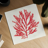 Pacific Sea Mosses I Red by Wild Apple Portfolio. Shown as a detailed flat fine art print, highlighting archival giclee quality. Available as an archival giclee rolled canvas, fine art paper, or poster print. SKU 55916a.