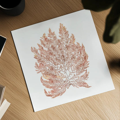 Pacific Sea Mosses I White Sq by Wild Apple Portfolio. Shown as a detailed flat fine art print, highlighting archival giclee quality. Available as an archival giclee rolled canvas, fine art paper, or poster print. SKU 51608a.