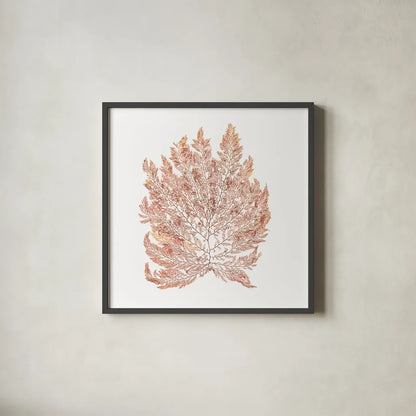 Pacific Sea Mosses I White Sq by Wild Apple Portfolio. Shown in a sleek black glass frame for a contemporary gallery look. Available as an archival giclee rolled canvas, fine art paper, or poster print. SKU 51608a.