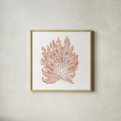 Pacific Sea Mosses I White Sq by Wild Apple Portfolio. Shown in a natural wood glass frame for a timeless modern aesthetic. Available as an archival giclee rolled canvas, fine art paper, or poster print. SKU 51608a.