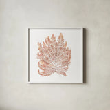Pacific Sea Mosses I White Sq by Wild Apple Portfolio. Shown in a crisp white glass frame for a clean and minimalist style. Available as an archival giclee rolled canvas, fine art paper, or poster print. SKU 51608a.