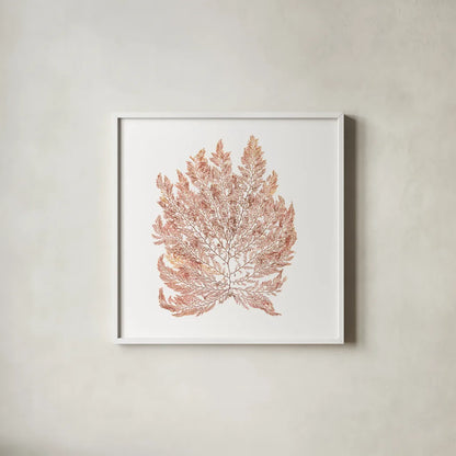 Pacific Sea Mosses I White Sq by Wild Apple Portfolio. Shown in a crisp white glass frame for a clean and minimalist style. Available as an archival giclee rolled canvas, fine art paper, or poster print. SKU 51608a.