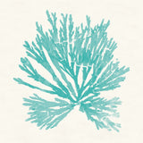 Pacific Sea Mosses II Aqua by Wild Apple Portfolio. SKU 55909a. Archival Giclee Fine art print for wall decor.