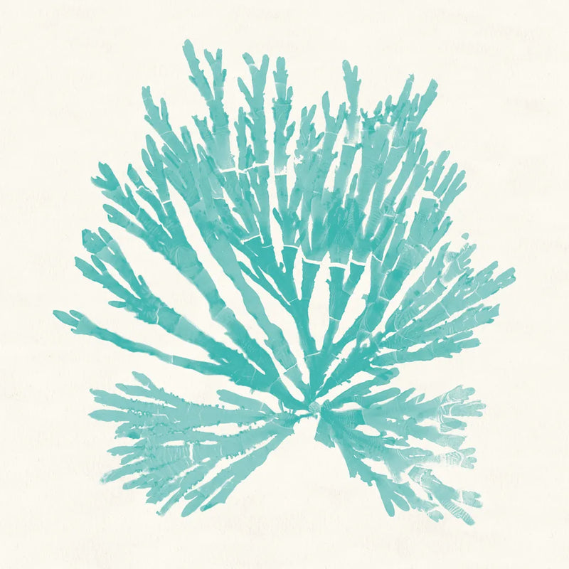 Pacific Sea Mosses II Aqua by Wild Apple Portfolio. SKU 55909a. Archival Giclee Fine art print for wall decor.