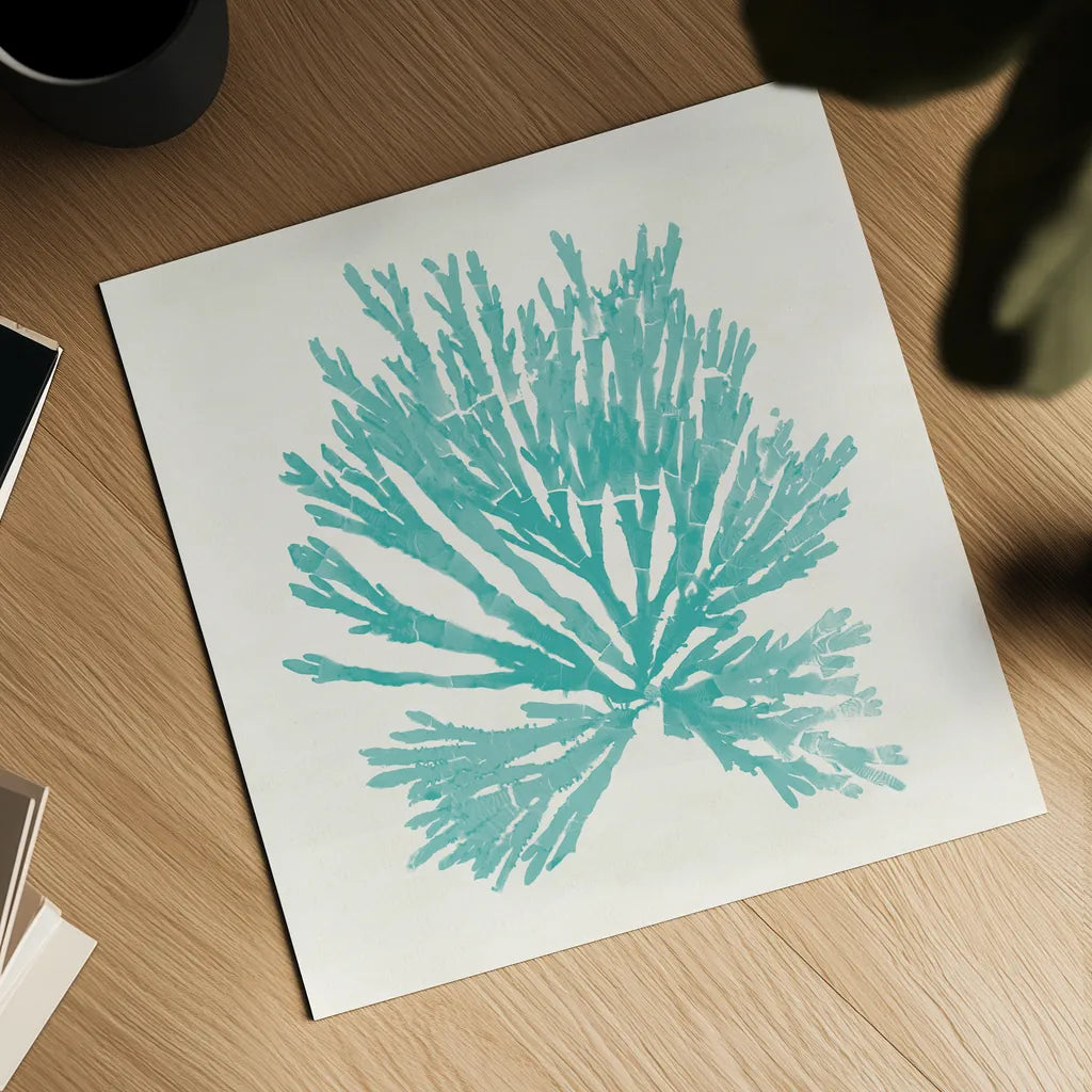 Pacific Sea Mosses II Aqua by Wild Apple Portfolio. Shown as a detailed flat fine art print, highlighting archival giclee quality. Available as an archival giclee rolled canvas, fine art paper, or poster print. SKU 55909a.