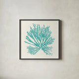 Pacific Sea Mosses II Aqua by Wild Apple Portfolio. Shown in a sleek black glass frame for a contemporary gallery look. Available as an archival giclee rolled canvas, fine art paper, or poster print. SKU 55909a.